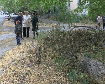 мусор ул Менделеева